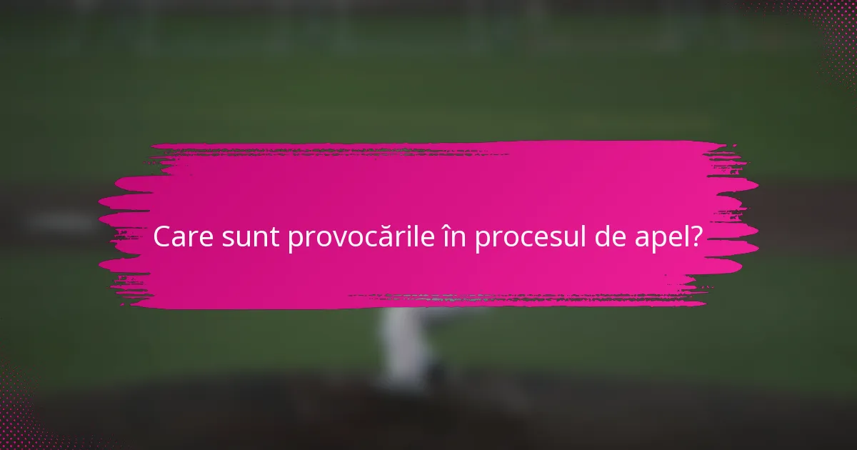 Care sunt provocările în procesul de apel?